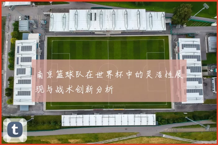 南京篮球队在世界杯中的灵活性展现与战术创新分析