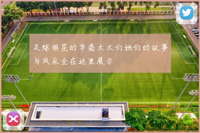 足球明星的华裔太太们她们的故事与风采全在这里展示