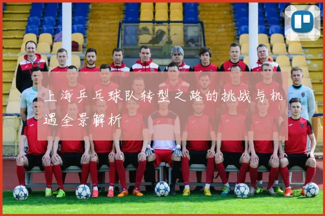 上海乒乓球队转型之路的挑战与机遇全景解析