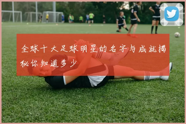 全球十大足球明星的名字与成就揭秘你知道多少