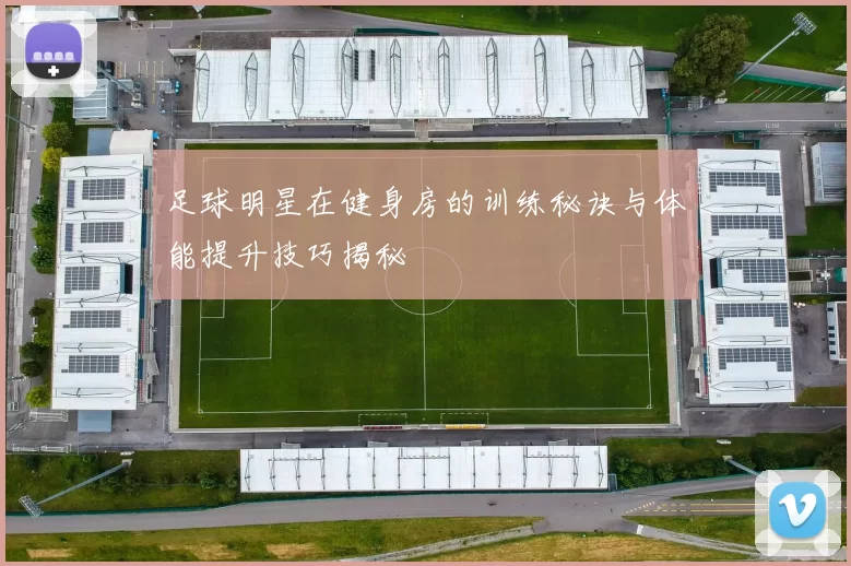 足球明星在健身房的训练秘诀与体能提升技巧揭秘