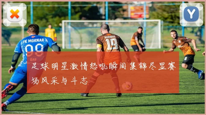 足球明星激情怒吼瞬间集锦尽显赛场风采与斗志