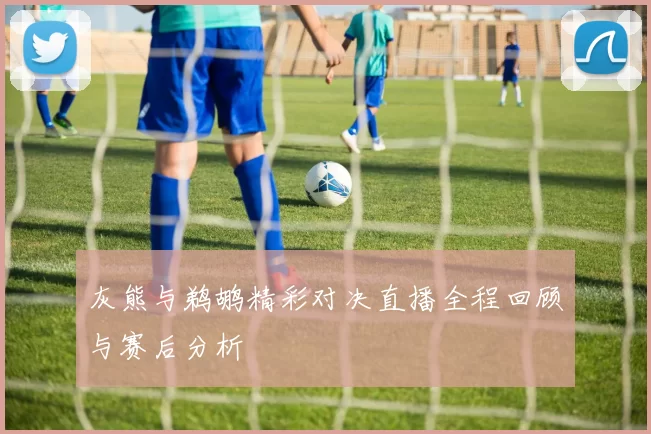 灰熊与鹈鹕精彩对决直播全程回顾与赛后分析