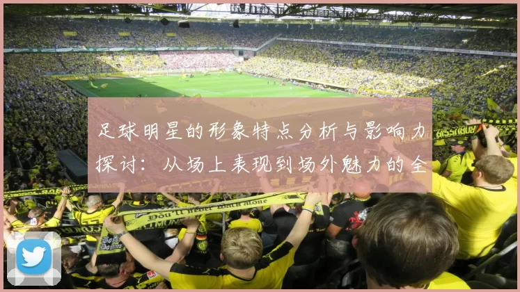 足球明星的形象特点分析与影响力探讨：从场上表现到场外魅力的全面解读