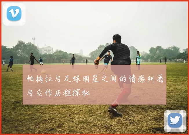 帕梅拉与足球明星之间的情感纠葛与合作历程探秘