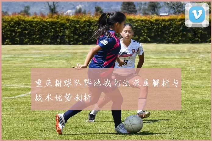 重庆排球队阵地战打法深度解析与战术优势剖析