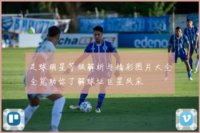 足球明星等级解析与精彩图片大全全览助你了解球坛巨星风采