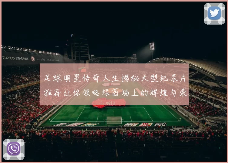 足球明星传奇人生揭秘大型纪录片推荐让你领略绿茵场上的辉煌与荣耀