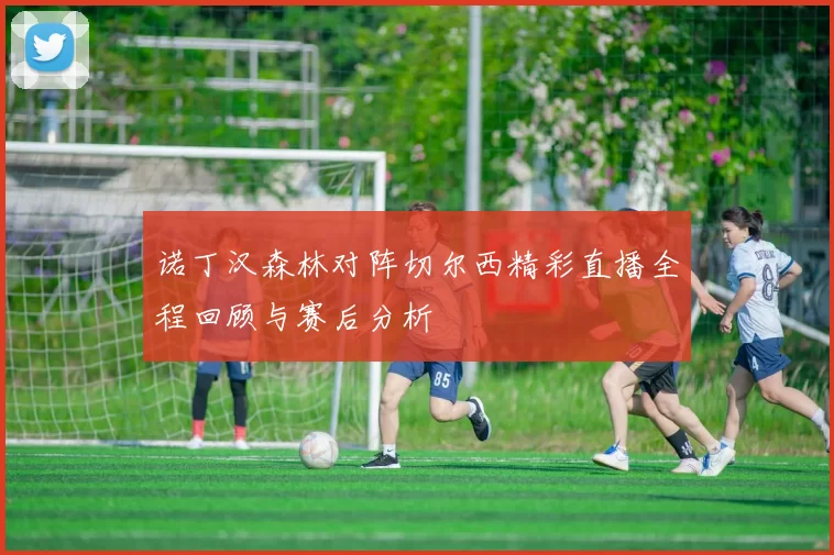 诺丁汉森林对阵切尔西精彩直播全程回顾与赛后分析