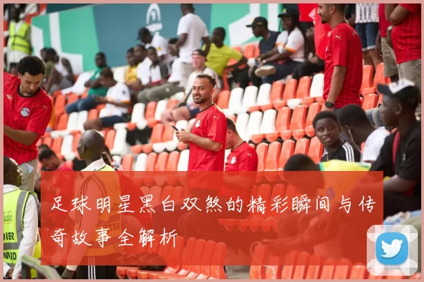 足球明星黑白双煞的精彩瞬间与传奇故事全解析