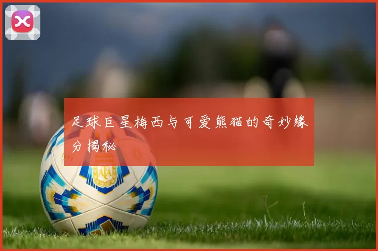 足球巨星梅西与可爱熊猫的奇妙缘分揭秘