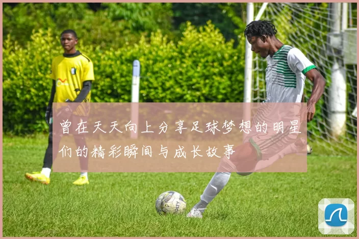 曾在天天向上分享足球梦想的明星们的精彩瞬间与成长故事