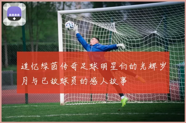 追忆绿茵传奇足球明星们的光辉岁月与已故球员的感人故事
