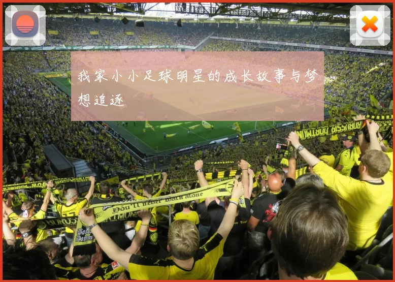 我家小小足球明星的成长故事与梦想追逐