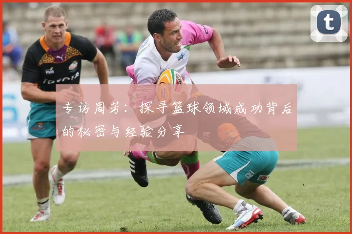 专访周芳：探寻篮球领域成功背后的秘密与经验分享