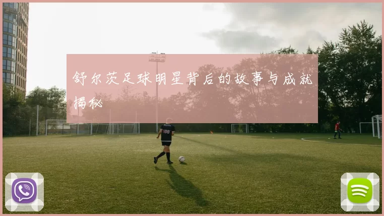 舒尔茨足球明星背后的故事与成就揭秘