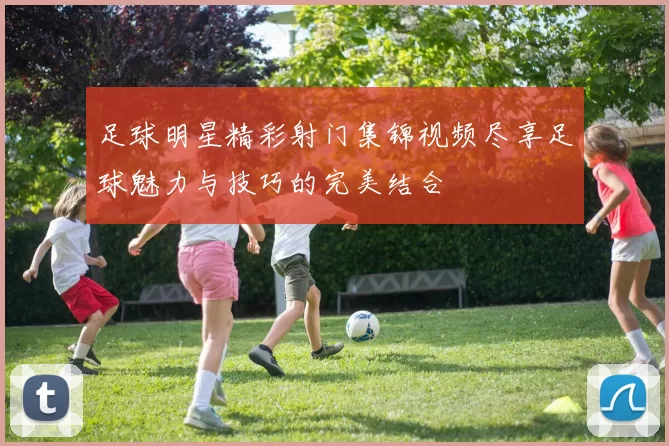 足球明星精彩射门集锦视频尽享足球魅力与技巧的完美结合