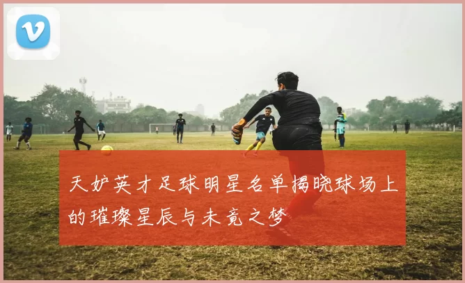 天妒英才足球明星名单揭晓球场上的璀璨星辰与未竟之梦